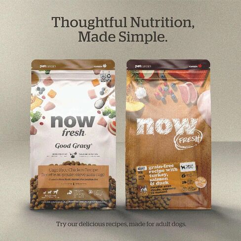 Now Fresh Good Gravy, Bone Broth Coated Kibble, Dry Dog Food, Salmon Adult Recipe with Grains, All Breed Size, 3.5 lb Bag in Saudi Arabia