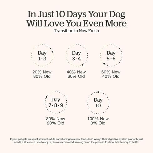 Now Fresh Good Gravy, Bone Broth Coated Kibble, Dry Dog Food, Salmon Adult Recipe with Grains, All Breed Size, 3.5 lb Bag in Saudi Arabia