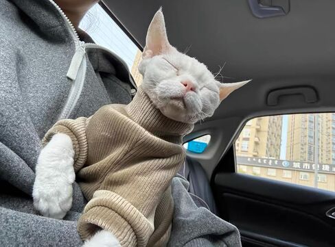 Sphynx Cat Warm Turtleneck Sweater, Thick Soft Hairless Cats Fleece Clothes, Two-Legged Winter Onesie for Cats and Small Dogs,Warm Outfit Coat Pjs for Cats and Puppy (Light Brown, XL (6.5-8.5lbs)) in Kuwait
