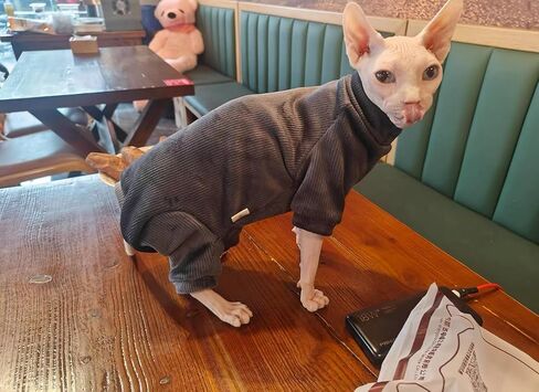 Sphynx Cat Warm Turtleneck Sweater, Thick Soft Hairless Cats Fleece Clothes, Two-Legged Winter Onesie for Cats and Small Dogs,Warm Outfit Coat Pjs for Cats and Puppy (Light Brown, XL (6.5-8.5lbs)) in Kuwait
