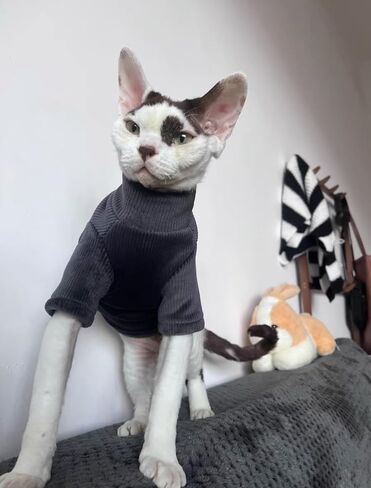 Sphynx Cat Warm Turtleneck Sweater, Thick Soft Hairless Cats Fleece Clothes, Two-Legged Winter Onesie for Cats and Small Dogs,Warm Outfit Coat Pjs for Cats and Puppy (Light Brown, XL (6.5-8.5lbs)) in Kuwait