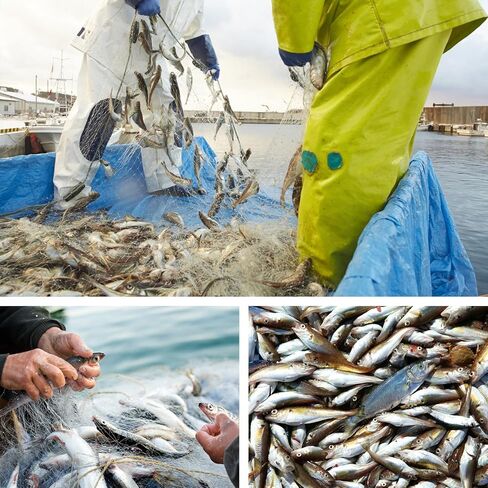 Small Casting Net Fishing Cast Net, Fishing Cast Net with Aluminum Ring, Outdoor Nylon Monofilament Cast Hand Throw Fishing Mesh Net, Extension Net Diameter 94 141 188Inch in Saudi Arabia