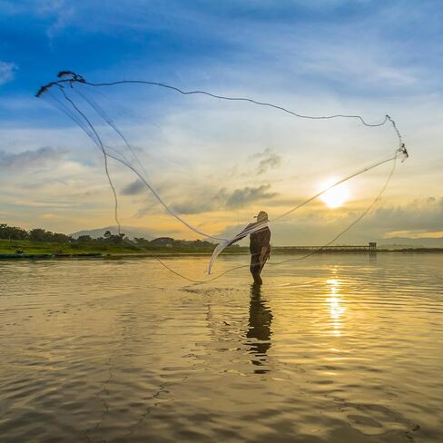 Small Casting Net Fishing Cast Net, Fishing Cast Net with Aluminum Ring, Outdoor Nylon Monofilament Cast Hand Throw Fishing Mesh Net, Extension Net Diameter 94 141 188Inch in Saudi Arabia