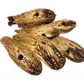 Bonka Bird Toys 3410 Pk6 Drilled Mahogany Pods Foot Talon Craft Part Parrot Toys, Amazon, African Greys, Eclectus, and Similar Breeds