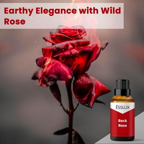 Sakura Delight Fragrance Oil, ESSLUX Aromatherapy Cherry Blossom Floral Essential Scented Oils for Home for Diffuser, Massage, Soap, Candle Making Scents, Perfume, Humidifier, 30 ml in Saudi Arabia