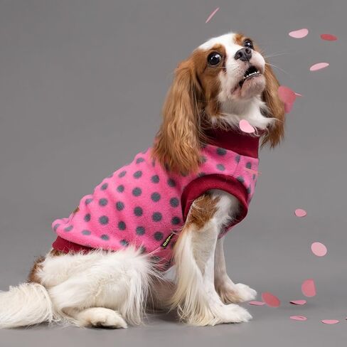 Fitwarm Fleece Polka Dot Dog Sweater, Cozy Dog Winter Clothes for Small Dogs Boy Girl, Dog Cold Weather Fleece Sweater, Doggy Pullover Jumper, Pet Outfit, Light Grey, Dark Grey, White, Medium in Kuwait