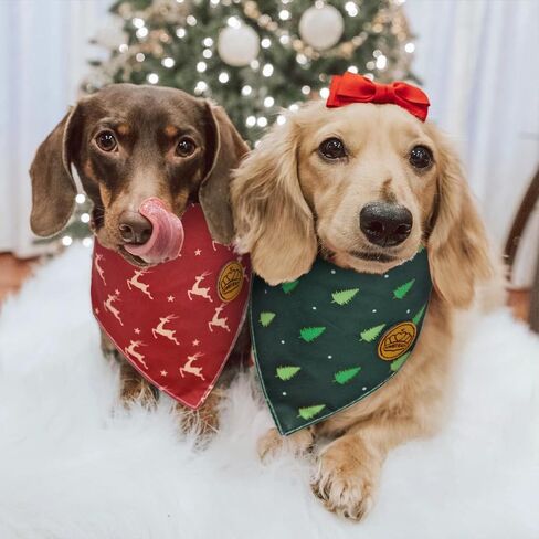 CROWNED BEAUTY Christmas Dog Bandanas Reversible Small 2 Pack, Festive Forest Set, Plaid Adjustable Triangle Holiday Scarves for Dogs Cats Boy Girl Pets DB140-S in Saudi Arabia