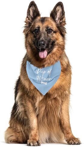 Pup of Honor Dog Bandana, Dog Wedding Outfit, My Parents are Getting Married Dog Bandana, Wedding Dog Bandana, Pet Dog Triangle Scarf, Dog Bandana for Small Medium Dogs (C22) in Kuwait