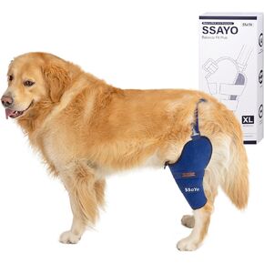 Dog Knee Brace for Male/Female Dogs - Neoprene Support Dog Leg Braces for Back Leg with Adjustable Straps and Belt - Torn ACL Hind Leg, Ligament Injury, Joint Pain and Stability (Medium, Right)