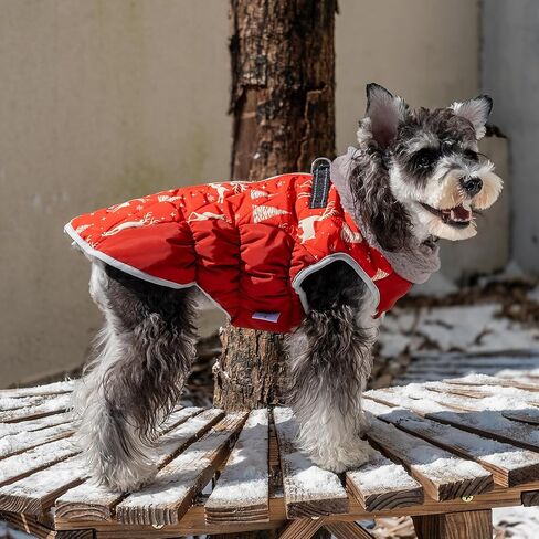 معطف شتوي مقاوم للماء للكلاب مع حزام، سترة دافئة عاكسة للكلاب مع سحاب للطقس البارد، بدلة ثلج للكلاب الصغيرة والمتوسطة والكبيرة YRFN21S in Kuwait