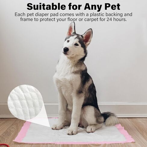 وسادات تبول لتدريب الحيوانات الأليفة مع 4 طبقات مقاومة للتسرب، وسادات للاستعمال مرة واحدة للكلاب والقطط ذات قدرة امتصاص قياسية وتجفيف سريع، عدد 5 مقاس كبير 24 × 24 بوصة (أزرق) in Kuwait