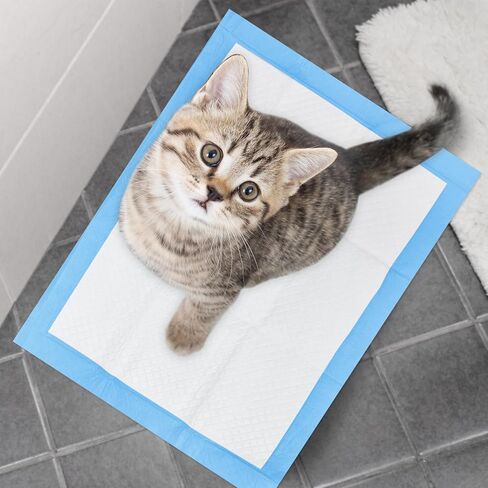 وسادات تبول لتدريب الحيوانات الأليفة مع 4 طبقات مقاومة للتسرب، وسادات للاستعمال مرة واحدة للكلاب والقطط ذات قدرة امتصاص قياسية وتجفيف سريع، عدد 5 مقاس كبير 24 × 24 بوصة (أزرق) in Kuwait