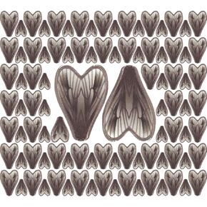 108pcs Fly Fishing Tying Materials Dry Fly DIY Binding Material Insect Wings Fishing for Trout