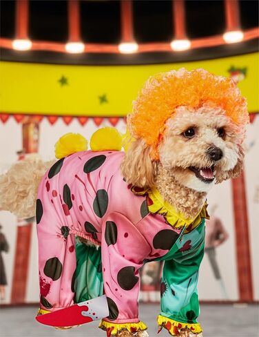 Rubies Killer Clown Fun and Cute Pet Costume Jumpsuit and Wig for Themed Party and Halloween, Small in Saudi Arabia
