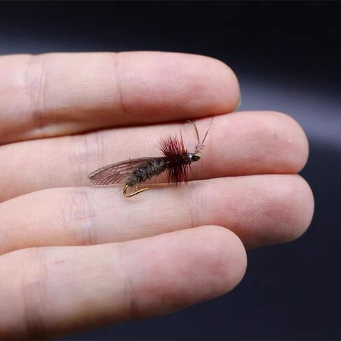 108pcs Fly Fishing Tying Materials Dry Fly DIY Binding Material Insect Wings Fishing for Trout in Saudi Arabia