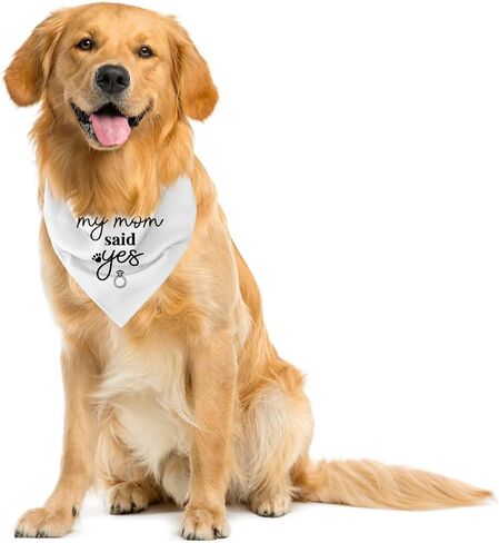 My Mom Said Yes Dog Bandana, Dog Bandana Engagement, My Parents are Getting Married Dog Bandana, Wedding Dog Bandana, Wedding Dog Outfit, White Dog Bandana, Dog Bandana for Small Medium Dogs (C1) in Kuwait