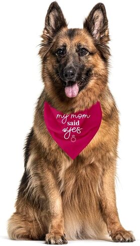 My Mom Said Yes Dog Bandana, Dog Bandana Engagement, My Parents are Getting Married Dog Bandana, Wedding Dog Bandana, Wedding Dog Outfit, White Dog Bandana, Dog Bandana for Small Medium Dogs (C1) in Kuwait