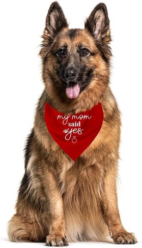 My Mom Said Yes Dog Bandana, Dog Bandana Engagement, My Parents are Getting Married Dog Bandana, Wedding Dog Bandana, Wedding Dog Outfit, White Dog Bandana, Dog Bandana for Small Medium Dogs (C1) in Kuwait
