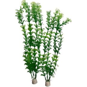 2 X 12 Green Plastic Artificial Anacharis Elodea/Waterweed/Aquatic Plants for Aquariums, Fish Tanks, and Fish Bowls - Good for Angel Fish, Tetras, Mollies, Platies, Guppies, and Bettas.