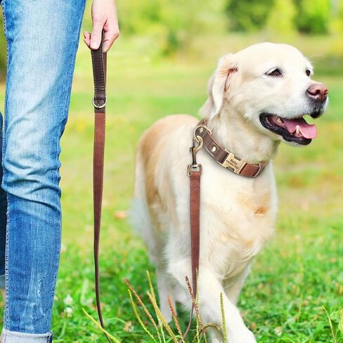 Didog Leather Dog Leash for Small Dogs 4.5ft, Soft Padded Handle Dog Leashes for Medium Dogs, Walking and Training Dog Leashes for Large Dogs,Brown in Saudi Arabia