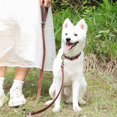 Didog Leather Dog Leash for Small Dogs 4.5ft, Soft Padded Handle Dog Leashes for Medium Dogs, Walking and Training Dog Leashes for Large Dogs,Brown in Saudi Arabia