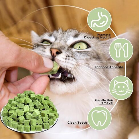 Cat Grass Teething Stick,Edible Natural Dried Cat Grass Treats,Cat Grass Teething Sticks for Indoor Cats,Cat Grass Chew Sticks for Teeth Cleaning and Hairball Remedy in Saudi Arabia