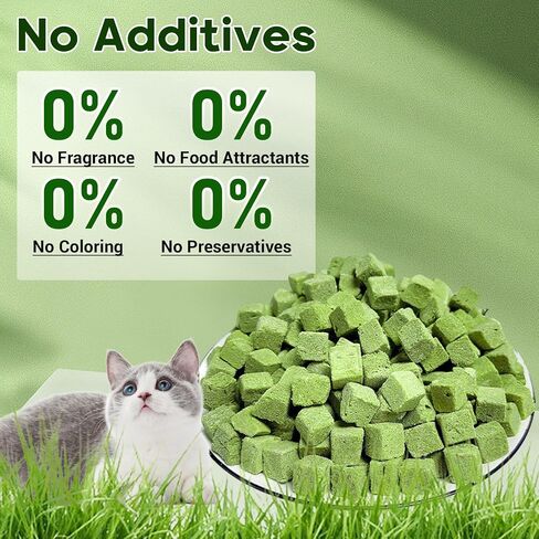 Cat Grass Teething Stick,Edible Natural Dried Cat Grass Treats,Cat Grass Teething Sticks for Indoor Cats,Cat Grass Chew Sticks for Teeth Cleaning and Hairball Remedy in Saudi Arabia