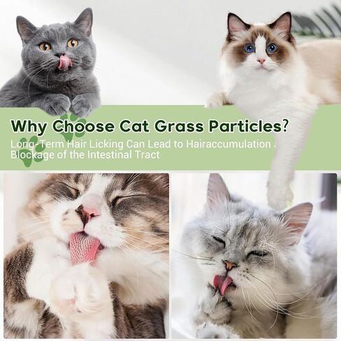Cat Grass Teething Stick,Edible Natural Dried Cat Grass Treats,Cat Grass Teething Sticks for Indoor Cats,Cat Grass Chew Sticks for Teeth Cleaning and Hairball Remedy in Saudi Arabia