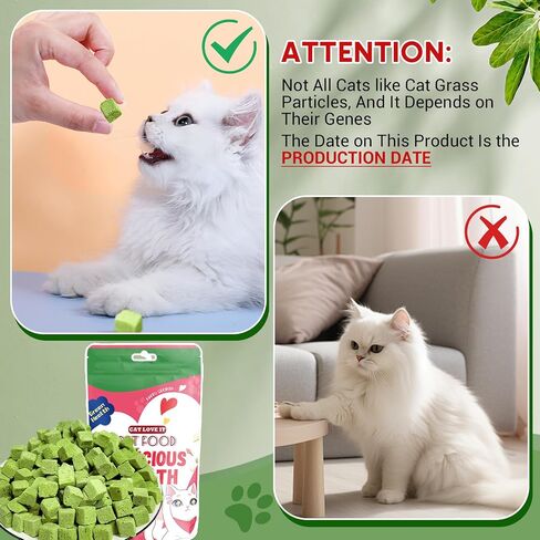 Cat Grass Teething Stick,Edible Natural Dried Cat Grass Treats,Cat Grass Teething Sticks for Indoor Cats,Cat Grass Chew Sticks for Teeth Cleaning and Hairball Remedy in Saudi Arabia