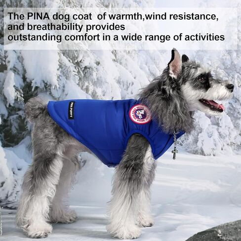 PINA Dog Winter Coat, Dog Winter Jacket with Buttons and Zipper, Dog Winter Vest Windproof and Warm, Suitable for Small to Large Dogs, Black, XXL in Kuwait