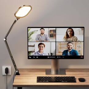 Ring Light with Stand, 15W Dimmable Zoom Lighting for Computer, Home Office, Reading, Video Calls, 66 Inches Floor Lamp with Flexible Swing Arm, AC Plug, Remote, Memory & Timer CRI >95