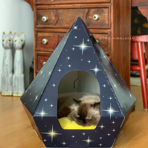 Eco-Friendly Cat Bed Teepee Very Sturdy Fits Large Rabbit And Cat At Any Size | Pillow Not Included in Saudi Arabia
