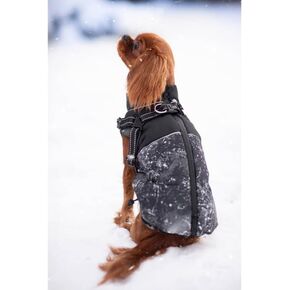 معطف شتوي للكلاب - معطف Cavalier King للكلاب مع حزام عاكس للضوء وأشرطة قابلة للتعديل ومعاطف دافئة للكلاب - سترة أنيقة للكلاب المتوسطة الصغيرة (متوسطة، رمادية) in Kuwait
