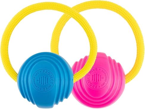 Project Hive Zoomer Stick | Dog Ball Thrower with Set of 2 Looped Dog Balls Included (Green and Blue) | Interactive Dog Toys for Both Land and Water | Balls for Dogs Perfect for Fetch and Tug Play in Saudi Arabia