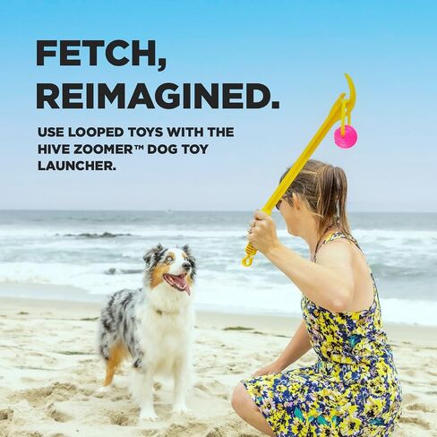 Project Hive Zoomer Stick | Dog Ball Thrower with Set of 2 Looped Dog Balls Included (Green and Blue) | Interactive Dog Toys for Both Land and Water | Balls for Dogs Perfect for Fetch and Tug Play in Saudi Arabia