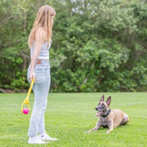 Project Hive Zoomer Stick | Dog Ball Thrower with Set of 2 Looped Dog Balls Included (Green and Blue) | Interactive Dog Toys for Both Land and Water | Balls for Dogs Perfect for Fetch and Tug Play in Saudi Arabia