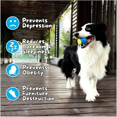 2.5 inch Squeaky Dog Balls, Durable Dog Toy Ball for Training, Tough Dog Balls for Interactive Play and Teething Puppies with Storage Bag, 6 Pack - Bright & Fun Colors in Saudi Arabia