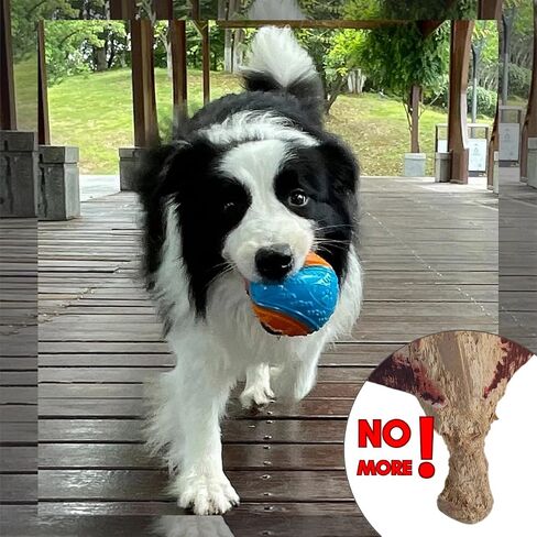 2.5 inch Squeaky Dog Balls, Durable Dog Toy Ball for Training, Tough Dog Balls for Interactive Play and Teething Puppies with Storage Bag, 6 Pack - Bright & Fun Colors in Saudi Arabia