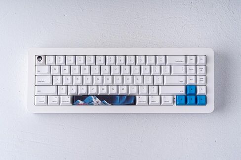Official Bob Ross Panoramic Scenic Spacebars & Bob Ross Keycap - 6.25u and R1 1u MX Compatible (Northern Lights Spacebar & Bob Ross ESC Key) in Kuwait