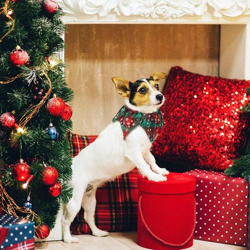 Christmas Pets Collar Clown with Bell 4 Pieces Buffalo Plaid Snowflake Cat Collar Dog Christmas Clown Neck Collar Adjustable Xmas Elastic Pet Collar for Dog Christmas Holiday Cosplay Party in Saudi Arabia