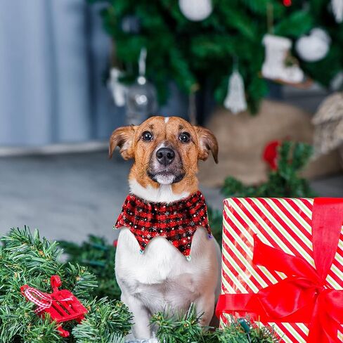 Christmas Pets Collar Clown with Bell 4 Pieces Buffalo Plaid Snowflake Cat Collar Dog Christmas Clown Neck Collar Adjustable Xmas Elastic Pet Collar for Dog Christmas Holiday Cosplay Party in Saudi Arabia