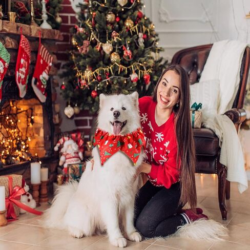 Christmas Pets Collar Clown with Bell 4 Pieces Buffalo Plaid Snowflake Cat Collar Dog Christmas Clown Neck Collar Adjustable Xmas Elastic Pet Collar for Dog Christmas Holiday Cosplay Party in Saudi Arabia
