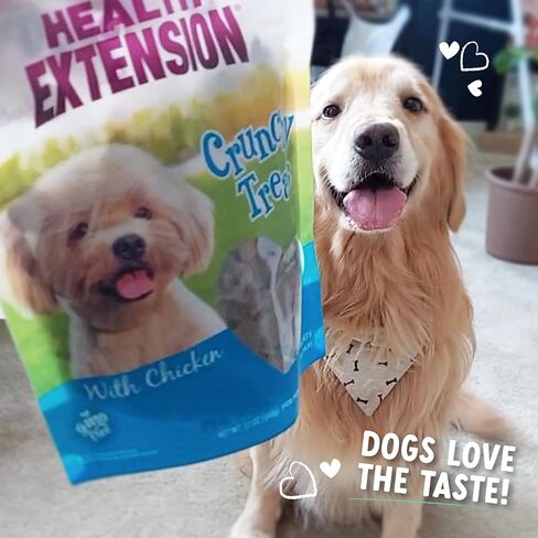 Health Extension Heart-Shaped Crunchy Biscuits, 12oz (340g) – Buffalo Recipe, GMO-Free Dog Training Treats for Small Breeds, Added Vitamins & Minerals (Pack of 4) in Kuwait