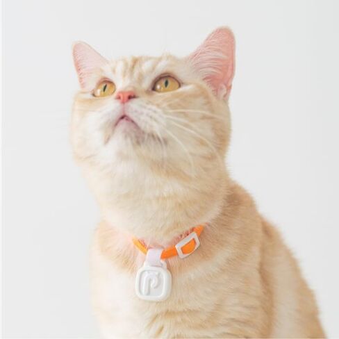 LavvieTAG Charger Set | Smartwatch for Cat ID Tag Light (0.01lbs) Activity Analysis Heath Care Calrorie Consumption App Integration Monitor Fitness Tracker(Charger Included) in Saudi Arabia