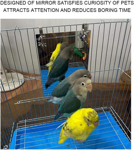Bird Mirror Toy, Stainless Steel Bird Mirror with Wooden Perch Rod for Parakeet Cockatoo Cockatiel Lovebirds Canaries in Saudi Arabia