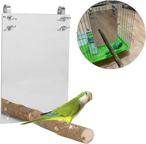 Bird Mirror Toy, Stainless Steel Bird Mirror with Wooden Perch Rod for Parakeet Cockatoo Cockatiel Lovebirds Canaries in Saudi Arabia