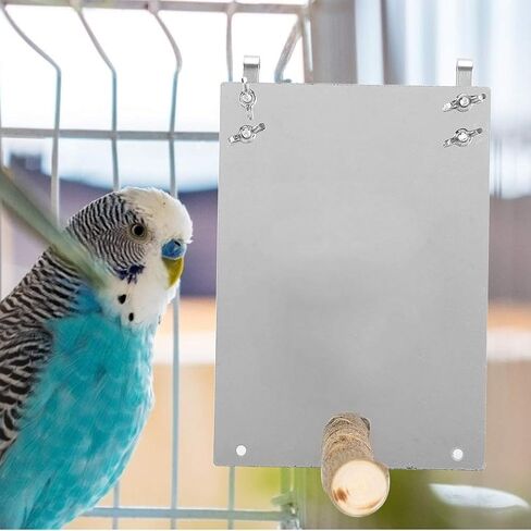 Bird Mirror Toy, Stainless Steel Bird Mirror with Wooden Perch Rod for Parakeet Cockatoo Cockatiel Lovebirds Canaries in Saudi Arabia