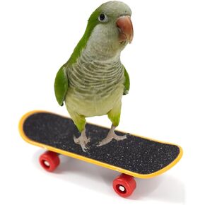 Skateboard Bird Toys, Parrot Training Trick Prop Toys, Bird Intelligence Educational Toys, Bird Grind Foot Toy for Parrot Parakeet Conures Cockatiels (B)