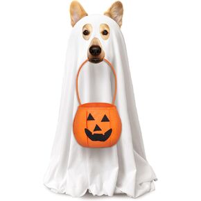 2 Pcs Halloween Dog Costumes with Non Woven Pumpkin Bags White Ghost Costume for Dog Cat Ghost Cosplay Clothes, Cute Party Cape for Halloween Cosplay Party (Large)
