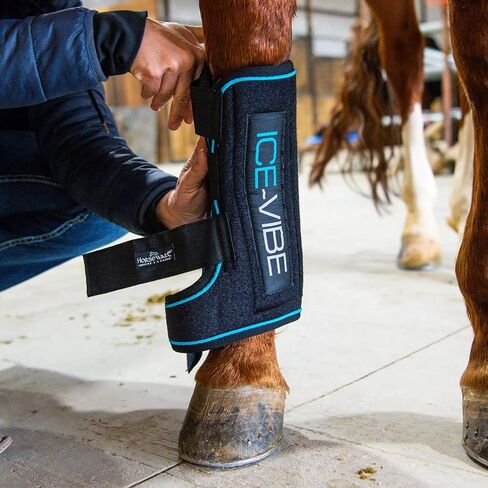 أحذية العلاج بالخيول من Horseware® Ice-Vibe® in Saudi Arabia